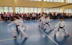 karate 1.jpg