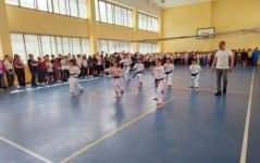 karate 2.jpg